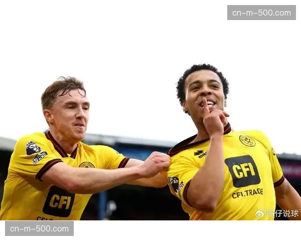 谢菲尔德联不敌布莱顿 副班长保级前景愈发黯淡