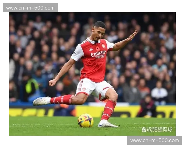 蒂亚戈与萨利巴矛盾对决 枪手防线经受考验